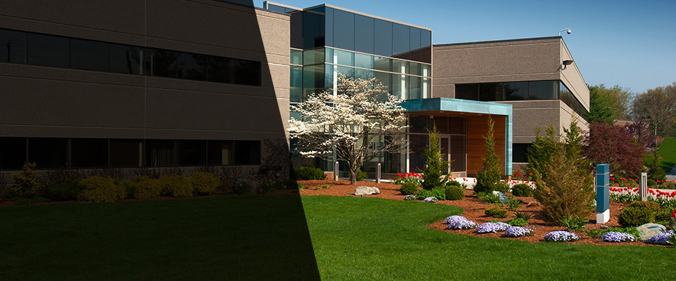 Wood Dale Landscapers