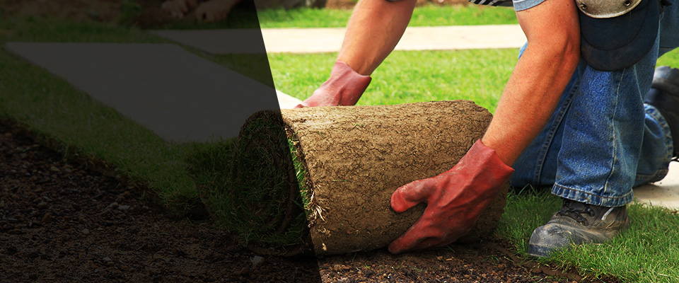 Wood Dale Landscapers